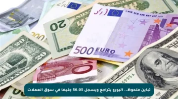 تباين ملحوظ.. اليورو يتراجع ويسجل 56.05 جنيها في سوق العملات